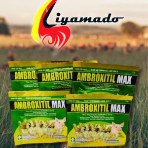 Liyamado Piso Sale!   AMBROXITIL MAX 5g 1pack(5sachets) for PISO only!