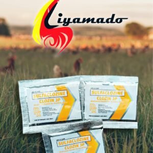 Liyamado Piso Sale!   CLOZIN 3P 4g 1pack(3pcs) for PISO only!