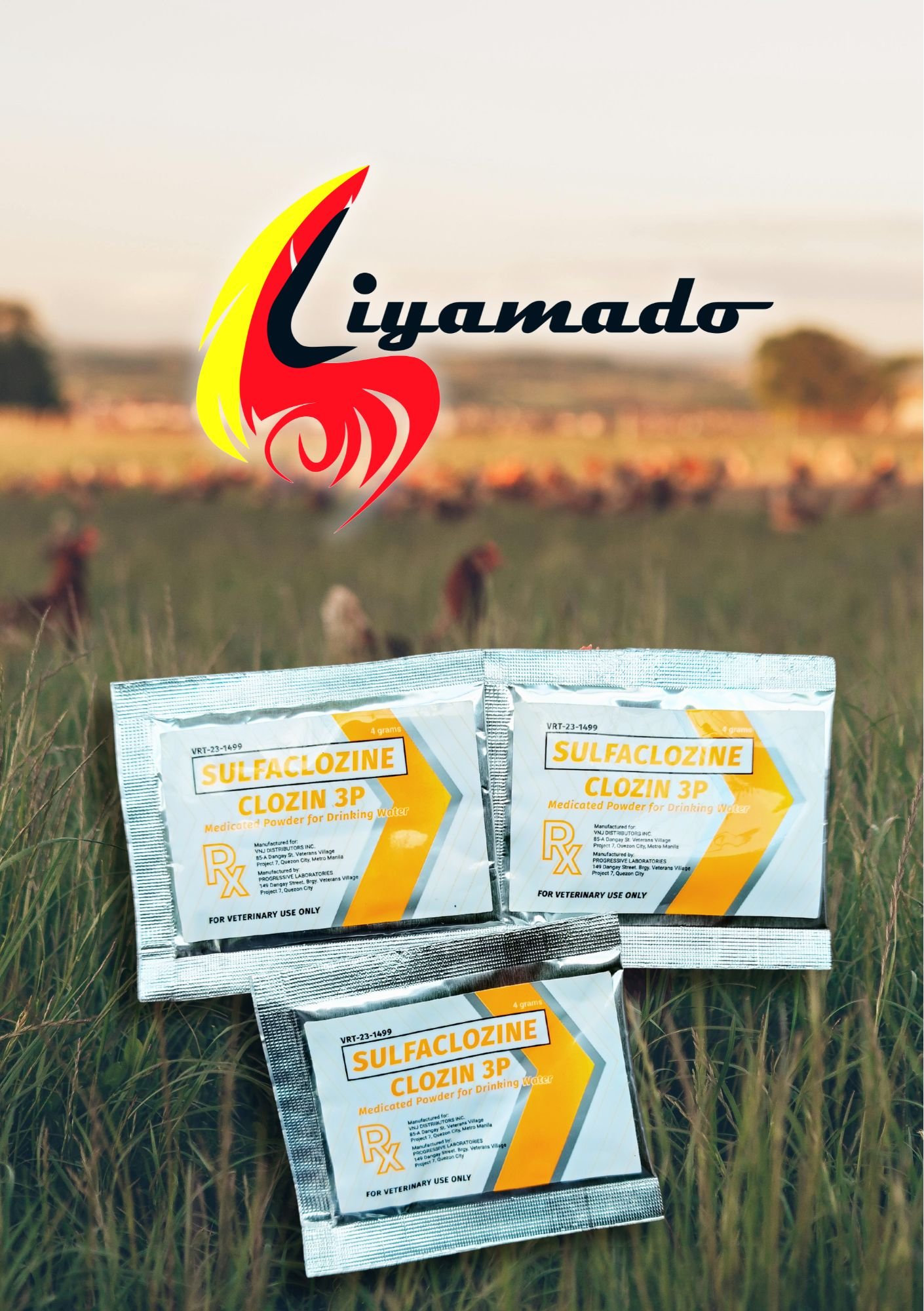 Liyamado Piso Sale!   CLOZIN 3P 4g 1pack(3pcs) for PISO only!