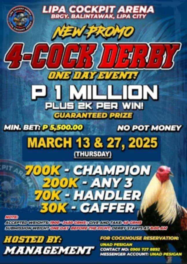 4-COCK DERBY