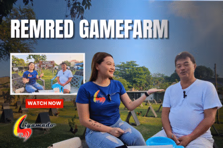 REMRED GAMEFARM