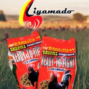 Liyamado Piso Sale!  READY-TO-FIGHT (1kl) X2 for PISO only!