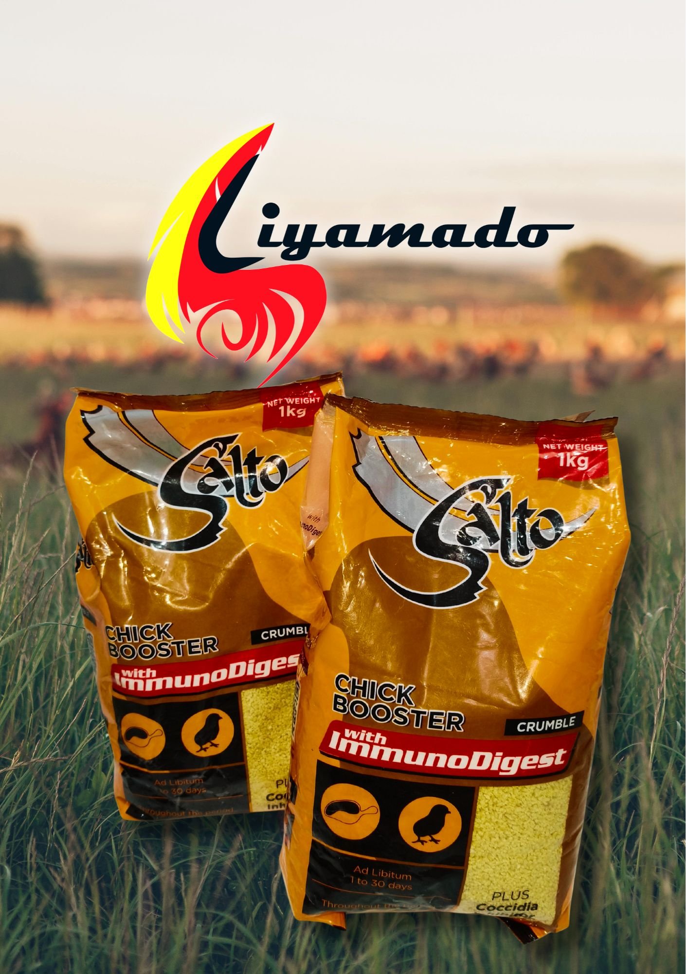 Liyamado Piso Sale! CHICK BOOSTER (1kl) X2 for PISO only!