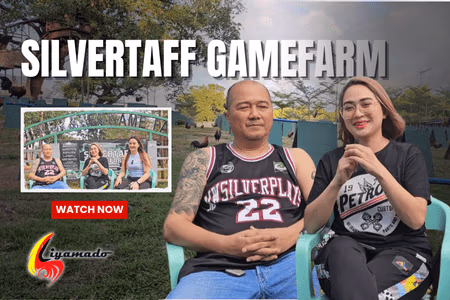 SILVERTAFF GAMEFARM