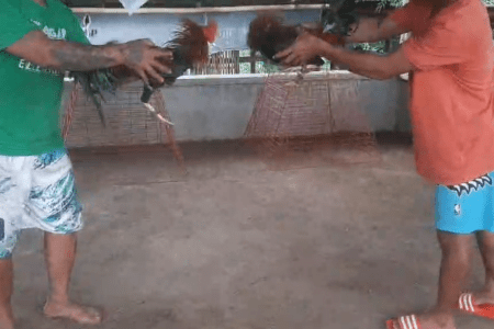 Basta Liyamado garantisado laging panalo