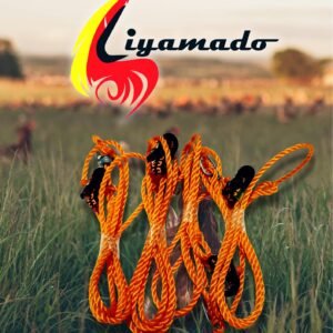 Liyamado Piso Sale!   TALI NG MANOK 1pack(4pcs) for PISO only!