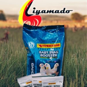 Liyamado Piso Sale!   BABY STAG (1kl) for PISO only!