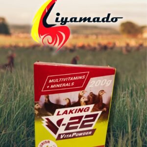 Liyamado Piso Sale!  LAKING V-22 VITA POWDER 200g for PISO only!