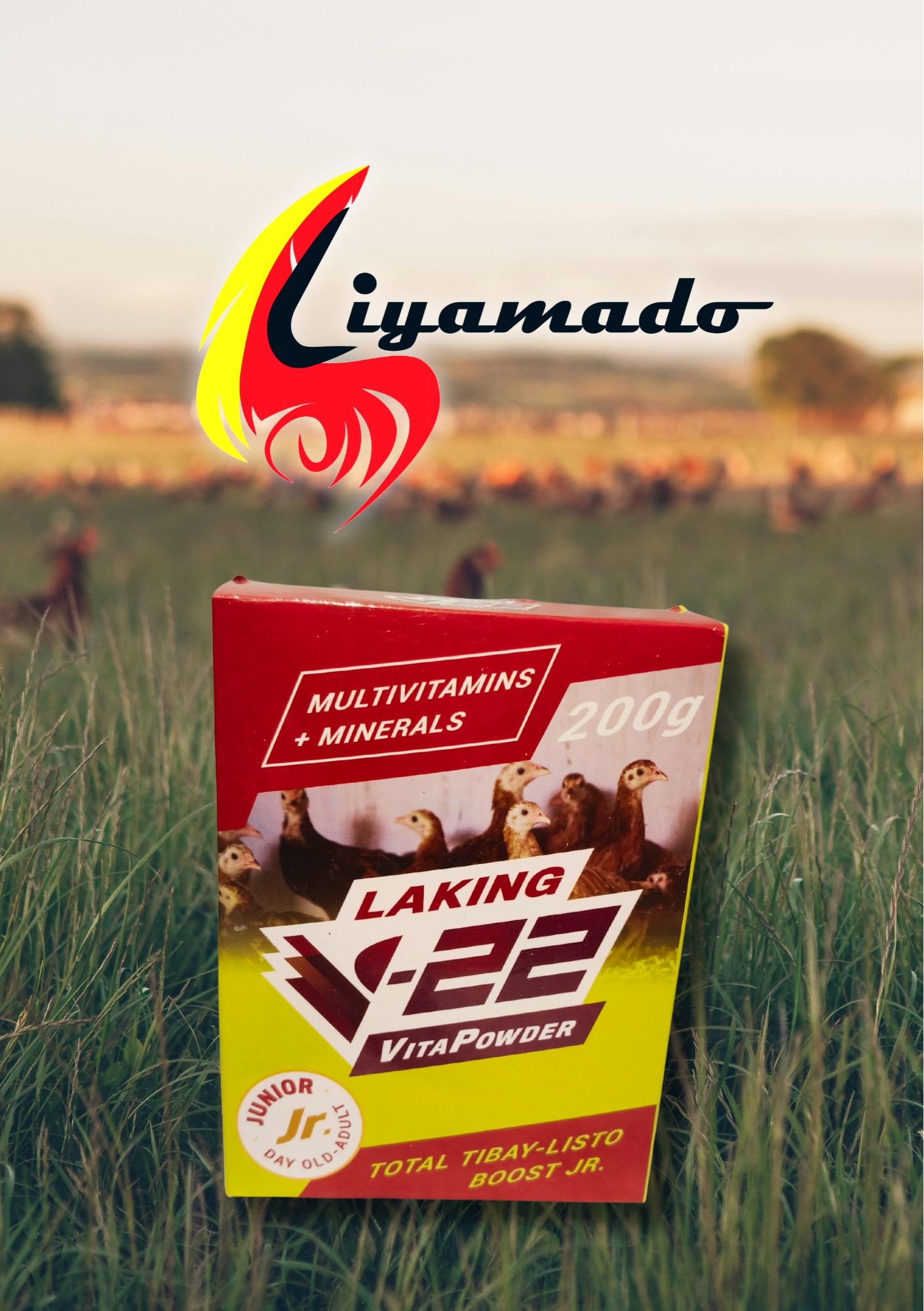 Liyamado Piso Sale!  LAKING V-22 VITA POWDER 200g for PISO only!