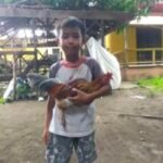 Profile picture of Joemar