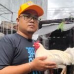 Profile picture of Herboks