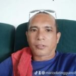 Profile picture of Mario