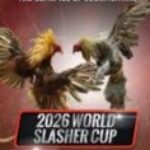 Profile picture of World Slasher 2026