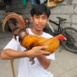 Profile picture of Luckybembem gf