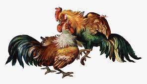 Problema nyo rin ba ang pagpromote ng Gamefowl Farm nyo? May solusyon si Liyamado