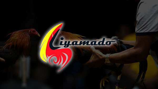 Liyamado Default Thumbnail