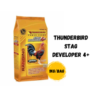 ThunderBird Stag Developer 4+