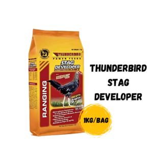 ThunderBird Stag Developer