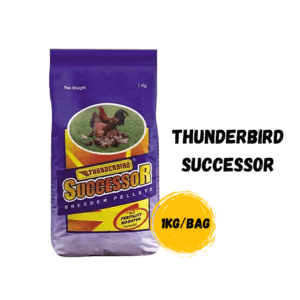 ThunderBird Successor